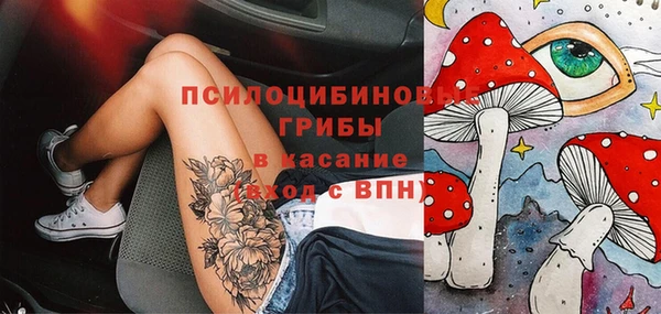 гидропоника Алзамай
