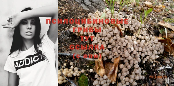 гидропоника Алзамай